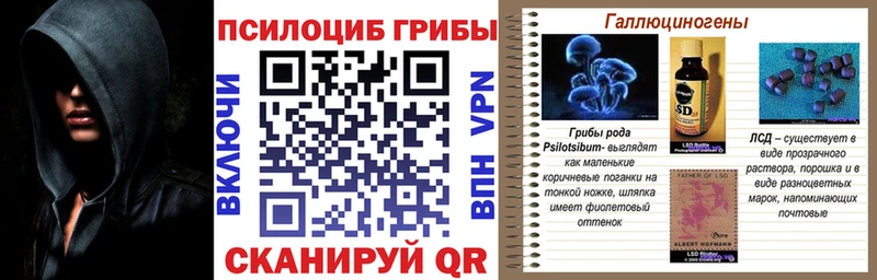мега сайт Димитровград Галлюциногенные грибы мицелий магазин продажи