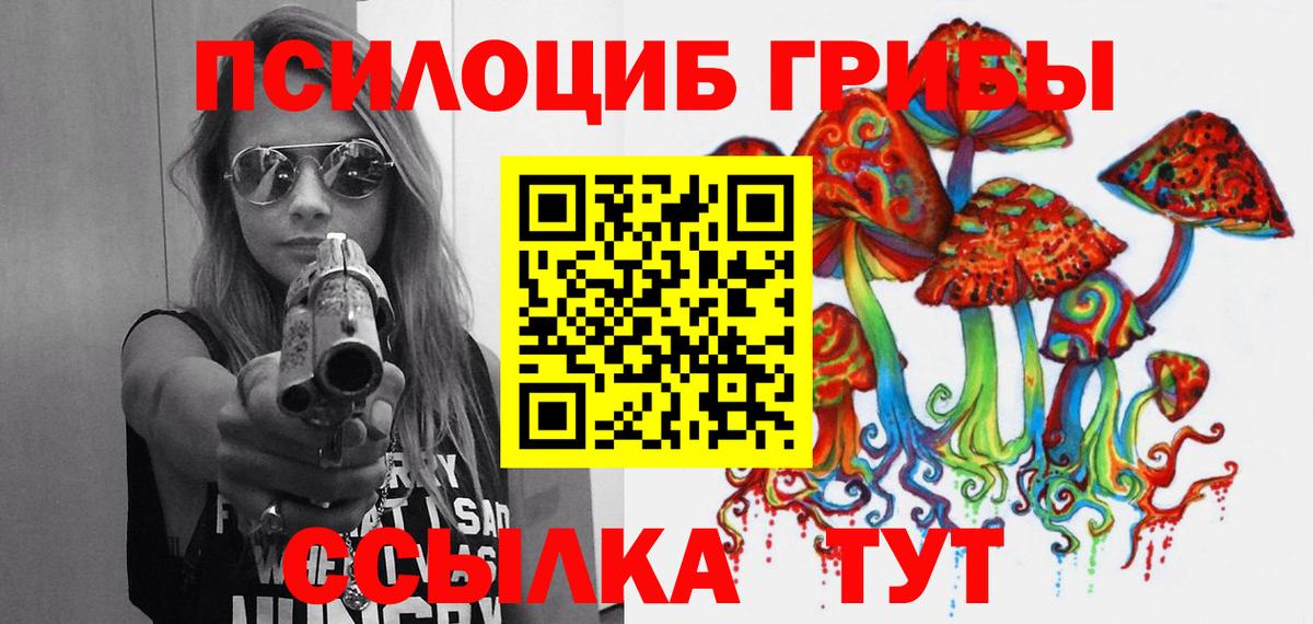 Галлюциногенные грибы Psilocybine cubensis Димитровград