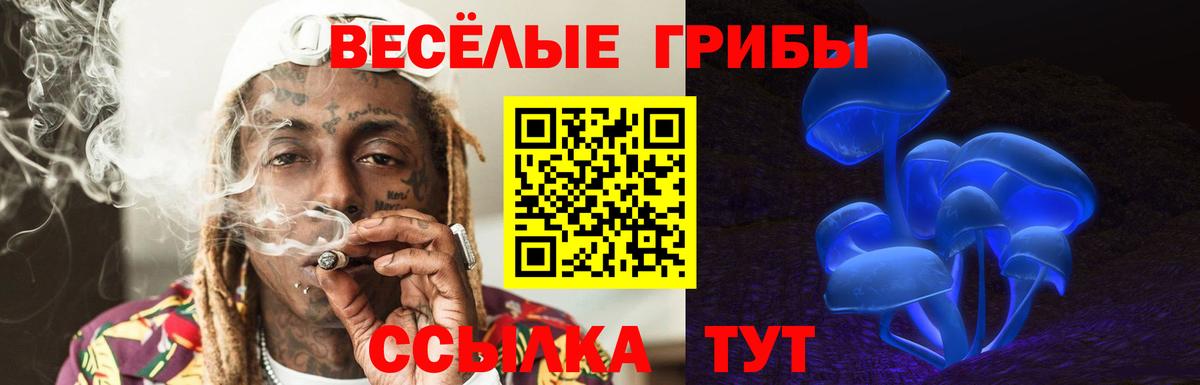 Галлюциногенные грибы Magic Shrooms  Вход с VPN  Галлюциногенные грибы Cubensis  Димитровград 